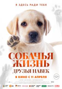 Обложка фильма Собачья жизнь: Друзья навек