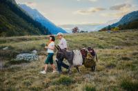 Кадр из фильма Невероятные приключения Шурика