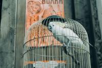 Кадр из фильма Красавица