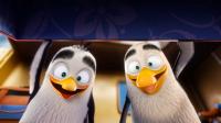 Кадр из фильма Крутые яйца: Миссия «Пингвин»