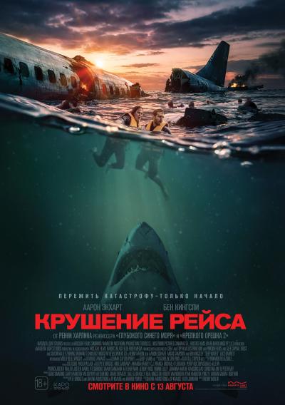 Обложка фильма Крушение рейса