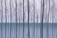 Кадр из фильма Грация