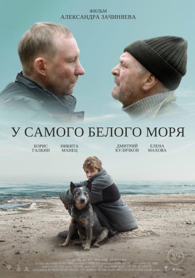 Обложка фильма У самого Белого моря