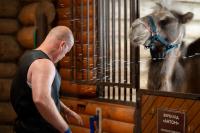 Кадр из фильма Доктор Гаф