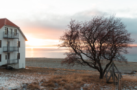 Кадр из фильма Тайна самоубийцы