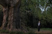 Кадр из фильма Молчаливый друг