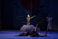 Кадр из фильма Театр в кино: МАМТ. Щелкунчик