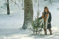 Кадр из фильма Елки-12