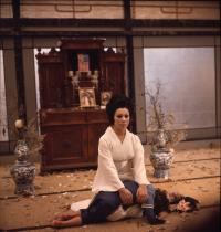 Кадр из фильма Мадам Баттерфляй