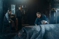 Кадр из фильма Красавица