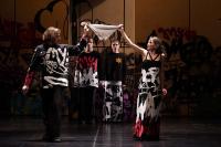 Кадр из фильма TheatreHD: Ромео и Джульетта во мгле