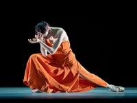 Кадр из фильма TheatreHD: Венская опера. Времена года