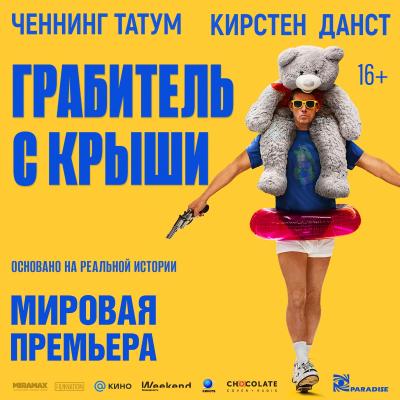 Грабитель с крыши
