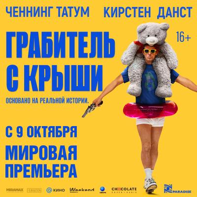 Грабитель с крыши