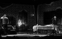Кадр из фильма TheatreHD: Собачье сердце