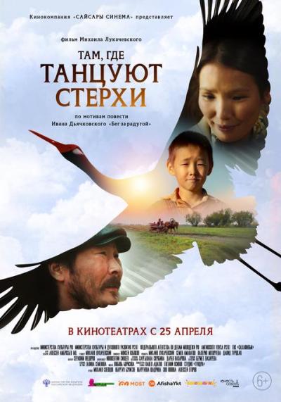 Обложка фильма Там, где танцуют стерхи