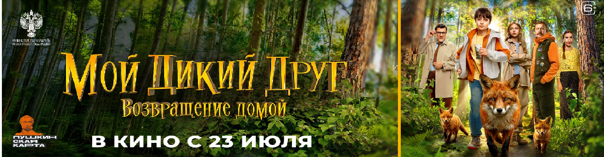 Мой дикий друг