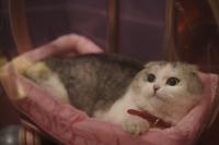 Кадр из фильма Запретный плод