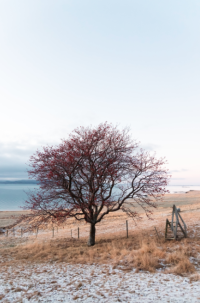 Кадр из фильма Тайна самоубийцы