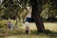 Кадр из фильма Звук падения