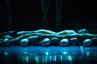 Кадр из фильма Hamburg Ballet: Сон в летнюю ночь