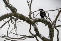 Кадр из фильма Сущность