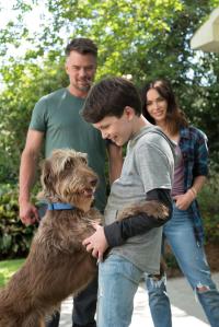 Кадр из фильма Отец