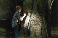 Кадр из фильма Песочный человек