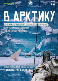 Обложка фильма В Арктику